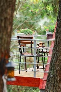 Cat Ba Eco Lodge - 7