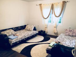 Apartmani ,,Bato,, - Sjenica - 8