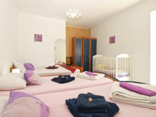 Apartments Davor 1676 - Banjole - 1