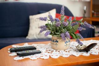 Holiday home Laura Relax & Quiet zone - Medulin - 2