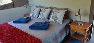 Shamba Yetu Mountain Lodge - 1