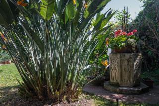 Villa Gabriella - Mondello - Mondello - 4