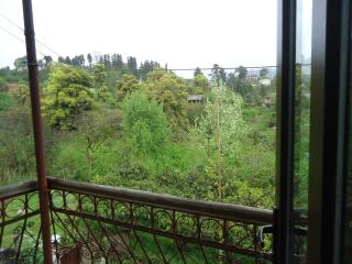 Guesthouse Sesili - 8