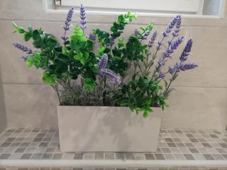 Apartman Darica Vid - Primošten - 7