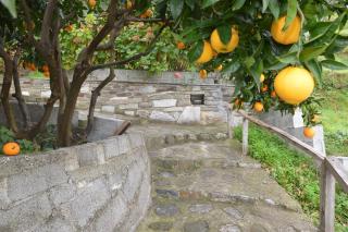 Triantafyllia's House - 3