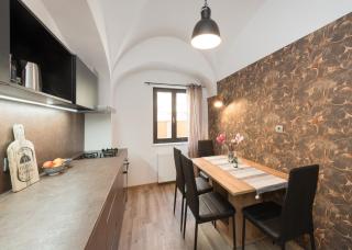 Royal Vega Apartment - Lubiana - 3