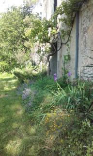Mas Ferrieres Saint Laurent - Saint-Laurent-le-Minier - 0