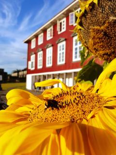 Oslo Hostel Rønningen - Oslo - 8
