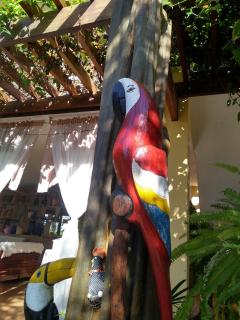 Pousada Villa Manoá - São Miguel dos Milagres - 9