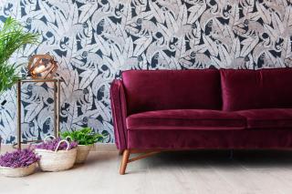 Rener Hotel Los Campones - 5