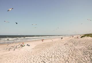 Best Western Oceanfront - Jacksonville Beach - 3