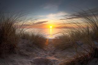 Best Western Oceanfront - Jacksonville Beach - 2
