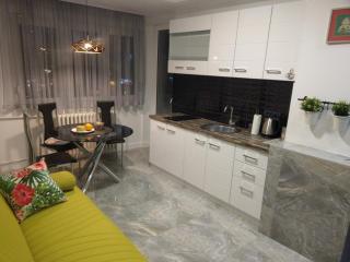 Golden Mirror Apartment - 1
