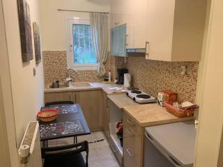La Vie En Rose Studio,close to beach, Paleo Faliro - Atene - 6