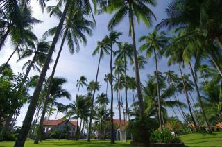 Muine Century Beach Resort & Spa - 6