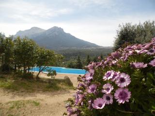 Villa L'Oleandro - Oliena - 5