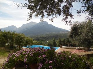 Villa L'Oleandro - Oliena - 4