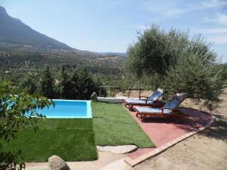 Villa L'Oleandro - Oliena - 9