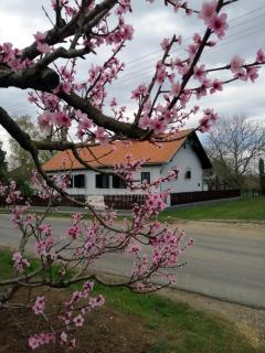 Szentgyörgyvölgy Vendégház Őrség - 3