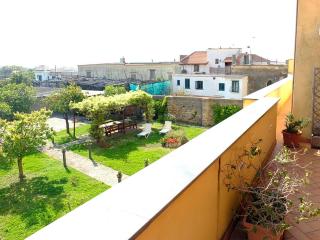 B&B Villa Elisa - Meta - 5