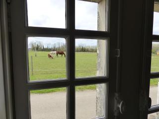 La commanderie aux portes de Chambord - Huisseau-sur-Cosson - 3