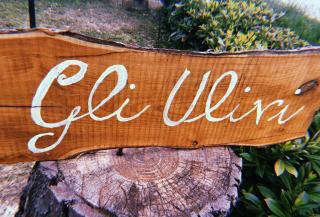 Gli Ulivi - Cortona - 6