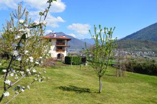 Il Gallo - Pergine Valsugana - 5