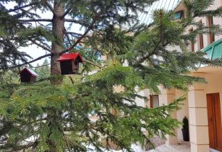 Apartmani Bijelic - Žabljak - 3