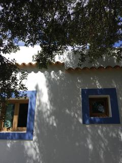 Agroturismo Sa Vinya d'en Palerm - 1