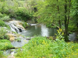 Beautiful Villa in Maremma - 1