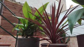 La Casa De Las Abuelas - 4