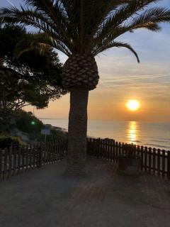 APARTAMENTO EN LA PLAYA - Miami Platja - 7