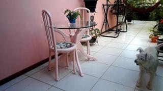 Casinha na serra - Nova Friburgo - 6