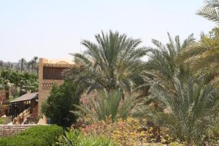 Tunis Village Chalet - Al-Fayyūm - 5