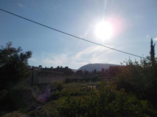 Summer Holidays in Laganas Apartments - Laganas - 5