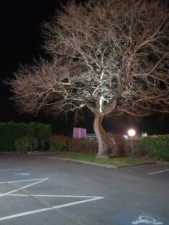 IKAR - Fasthotel Blois - 4