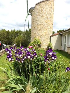 LOGIS Hôtel Le Moulin Des Gardelles - Riom - 1