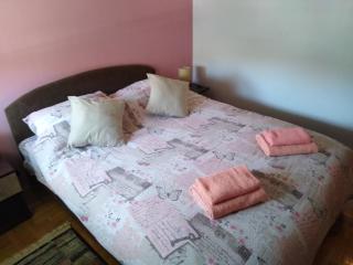 Apartment Jovana Vrnjačka Banja - Vrnjačka Banja - 8