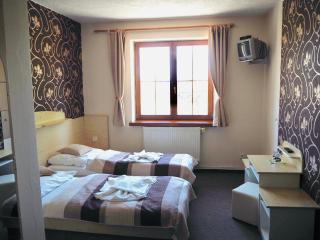 Hotel U Loubů - Fryšava - 7