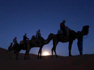 Merzouga Camp and Hostel - Merzouga - 1