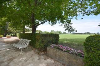 le laurier - Saint-Martin-de-Crau - 6