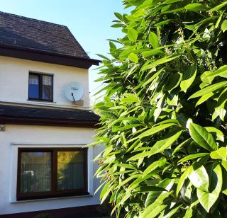 Green Corner Nürburg - Nürburg - 5