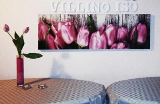 Villino Isò - La Spezia - 4