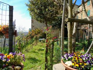 House with stunning views - Chiusdino - 6