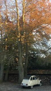 Chambre d'Hôtes Les Augustins - Parking sécurisé - Borne de recharge - 3