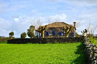 Casa da Canada - Ribeira Grande - 8