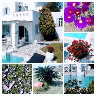 Deep Blue Villa - Stelida - 6