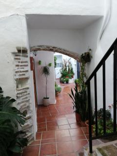 el chaparral - Tarifa - 9