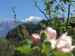 Vila Černe - Bled - 8