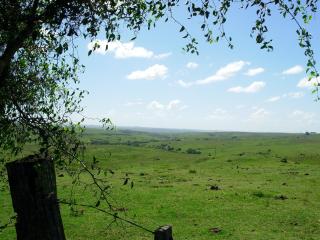 Estancia Los Plátanos - 1